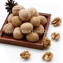 New Crop Export Standard Halal Kosher Certificated China Wholesale Paper Shell Walnut
